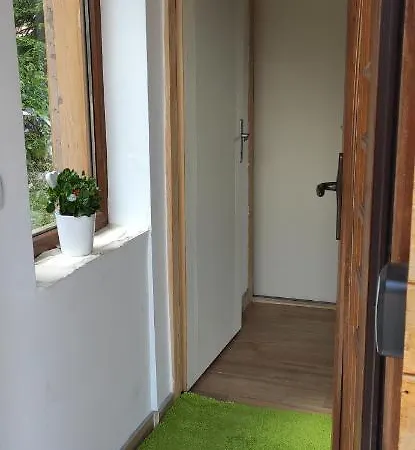 Brvnara Tarska Zora * Sekulic