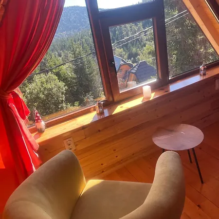 Brvnara Tarska Zora Sekulic