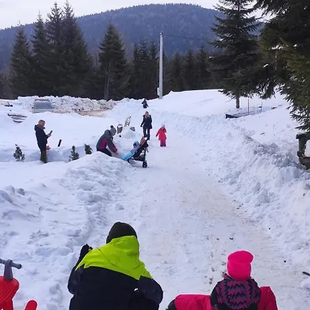 Alpesi faház Brvnara Tarska Zora Sekulic