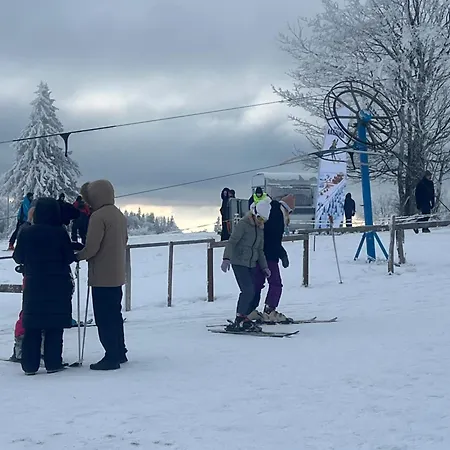 Brvnara Tarska Zora Sekulic